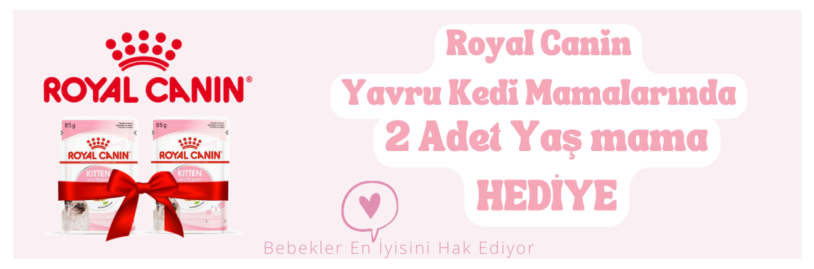 royal canin yaş mama hediye